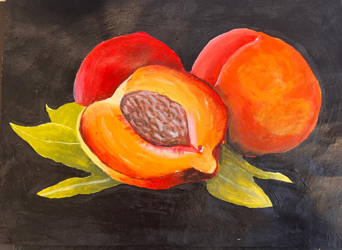 MAY 2026 / The Art of Healthy Eating Exhibition